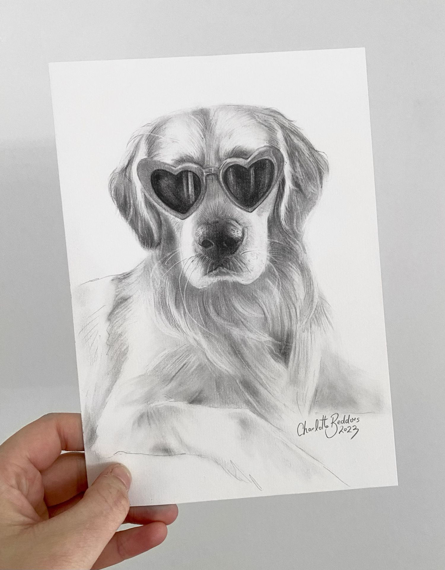 Mini Pet Portraits