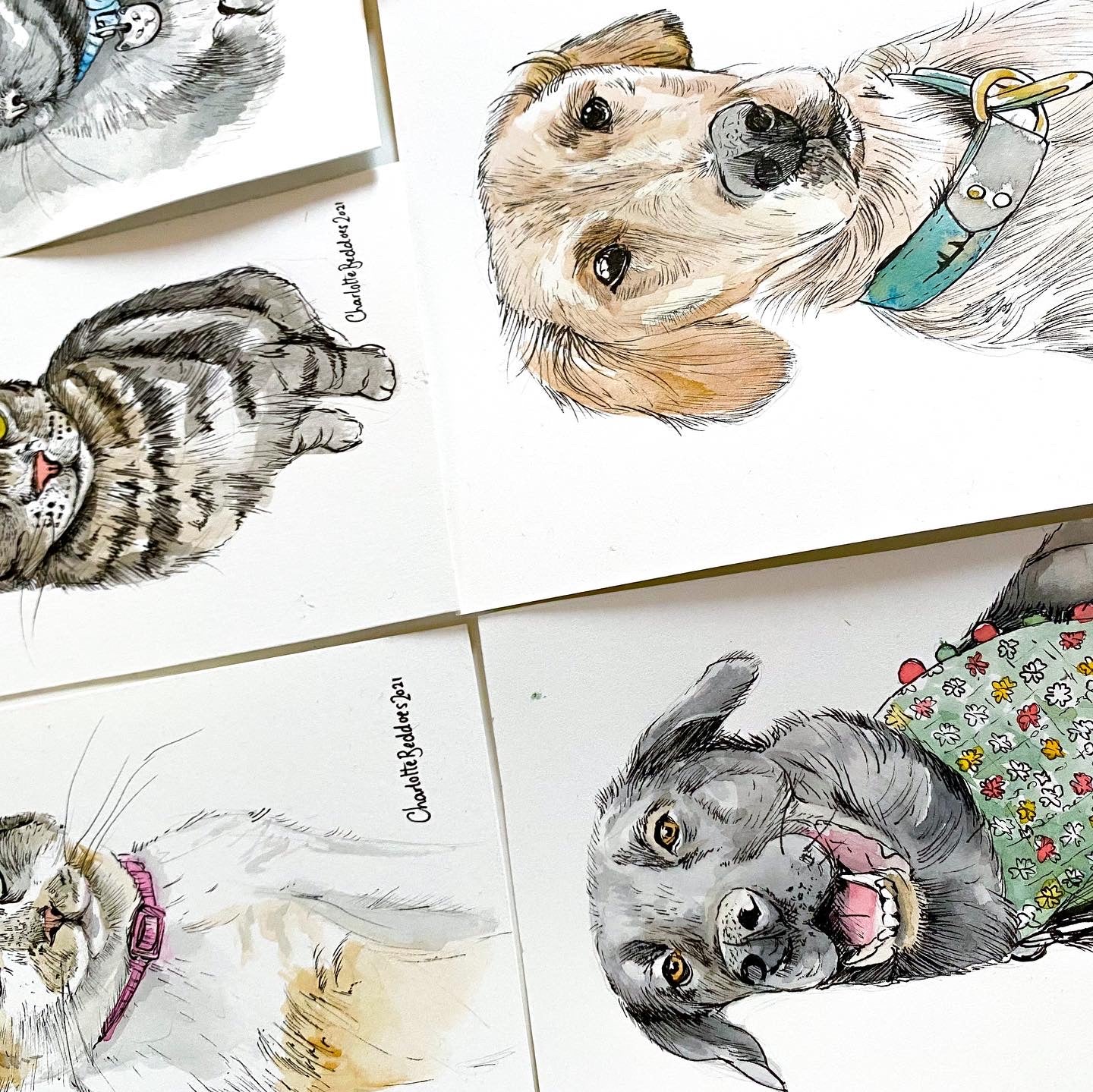 Watercolour Pet Pawtrait